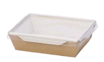 Крышка для контейнера 800мл 220х140х13,5мм OSQ OpSalad прозр плоская 50/400