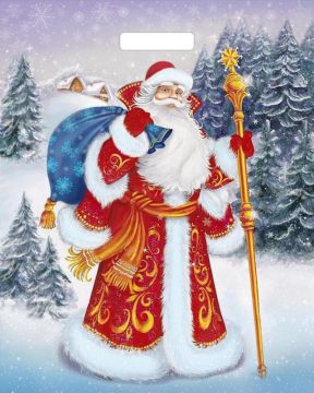 НГ Пакет с вырубной ручкой (39х47,5)-60 Желанный гость ТИКО 50/500