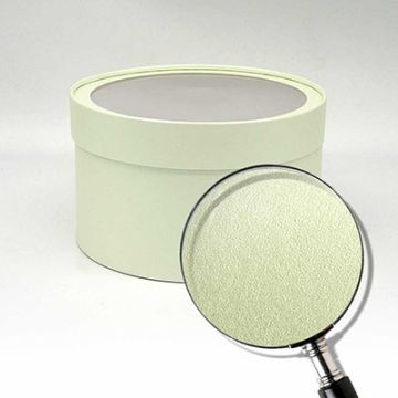 Коробка шайба с прозр. крышкой 21х7,5см свежая мята 