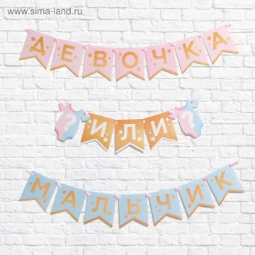 Гирлянда Гендер пати на ленте длина 220см 1/210