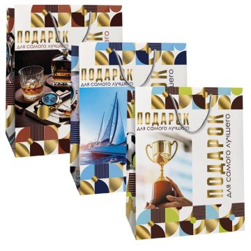 Пакет подарочный бумажный (26,4х32,7x13,6) ламинир мужской микс3 1/12/240