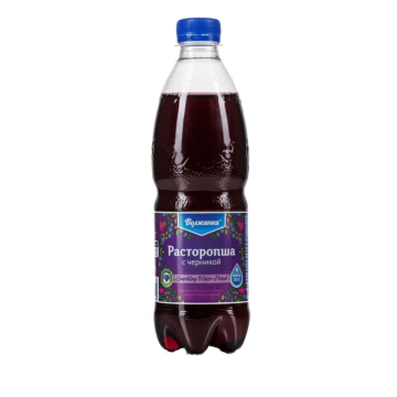 Продукты Напиток Расторопша с черникой 0,5л газ ПЭТ Волжанка 1/12