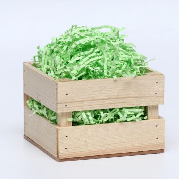 Наполнитель бумажный 100г салатовый 1/1