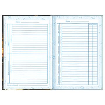 Дневник для музыкальной школы 48л твердый, BRAUBERG, выборочный лак, Симфония, 103601