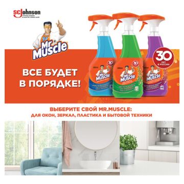 Средство для мытья стекол и зеркал 530мл Мистер Мускул После дождя 1/12 (Тендер)