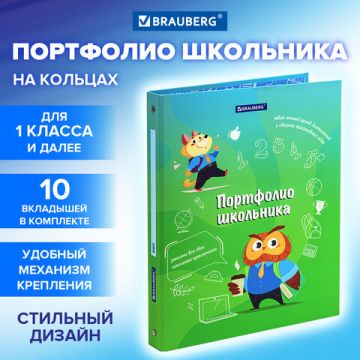 Папка портфолио школьника 4 кольца 20 файлов 10 вкладышей 7БЦ матовая BRAUBERG 1/10 (Клиент)