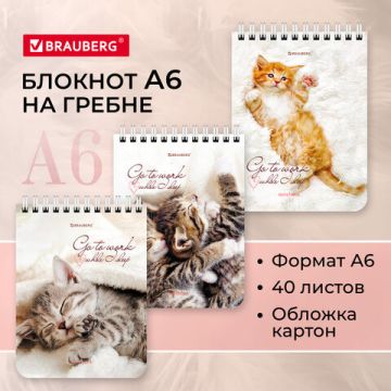Блокнот 40л А6 108х145мм клетка гребень Милые котята BRAUBERG 1/6/96