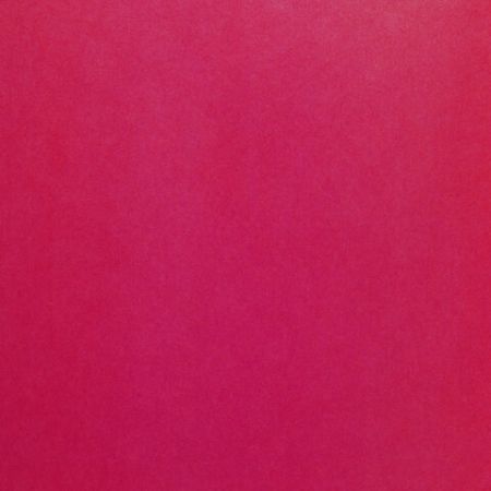 Цветная бумага А4 офсетная, 24 листа 24 цвета, на скобе, BRAUBERG, 200х280мм, Птица, 113538