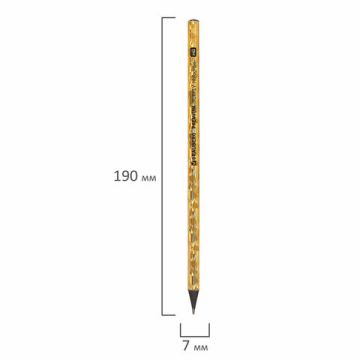 Карандаш ч/гр HB ассорти, дисплей Hologram BRAUBERG PREMIUM TURKEY 1/72/1728