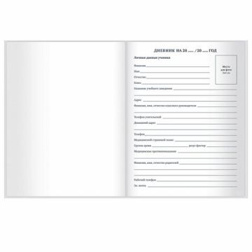 Дневник 1-11кл 40л (твердый) глянц ламинация Сова 1/28 (Клиент)