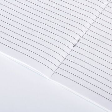 Дневник читательский А5 40л скоба, обложка картон ПИФАГОР Кот ученый 1/50